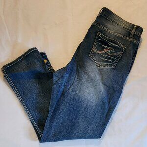 Jeans Fashion jeans sz 2X straight leg EUC 18W ?